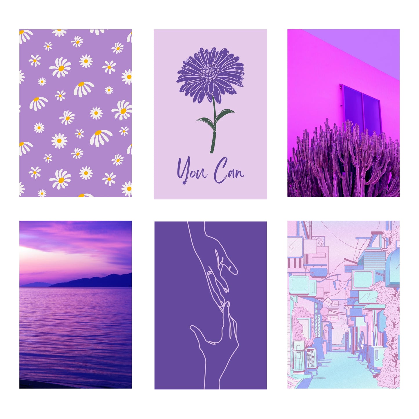 Purple Collection