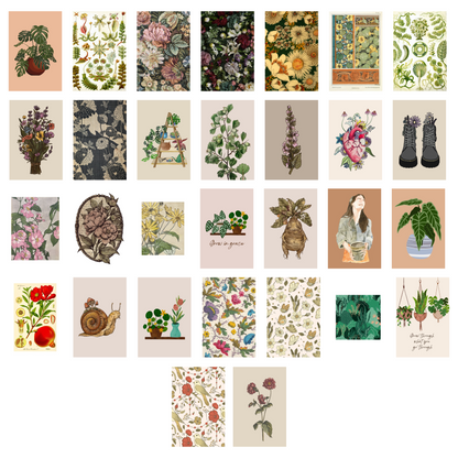 Botanical Collection
